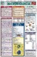 MICROBIOLOGIA (APRENDA FACIL) di VV.AA. 