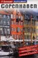 COPENHAGEN (INSIGHT MAP FLEXIMAP) (1:12500) di VV.AA. 