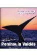 PENINSULA VALDES (CONOCER ARGENTINA) di MONTERROSO, GONZALO 