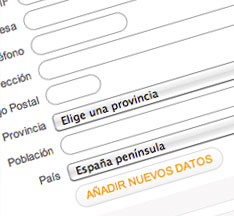Completa los datos necesarios para poder activar el servicio.