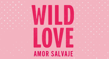 Texto: Wild Love, amor salvaje
