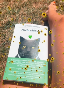 POETA CHILENO