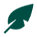 leaf%202
