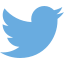 logo-twitter-glyph-64