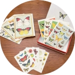 Caja de escritura con accesorios sobre una mesa