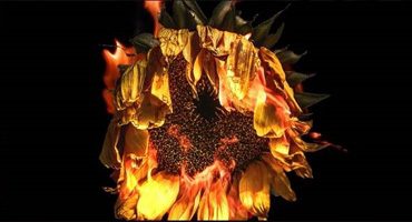 Booktrailer de «El Infierno»