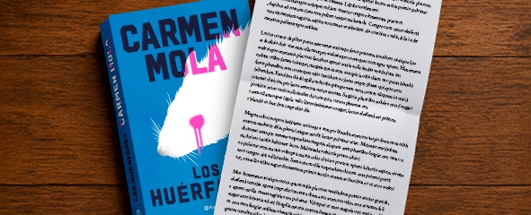 Interior Carmen Mola
