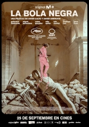 Cartel de la película La bola negra