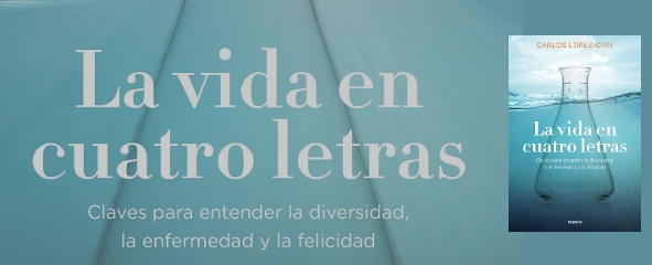 La vida en cuatro letras