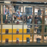 Librería Casa del Libro C. C. Plaza Mar 2 4